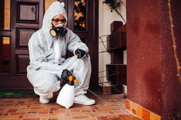 Reliable Wasp Removal contractor in Langley Park, MD by Show Me Pest Control